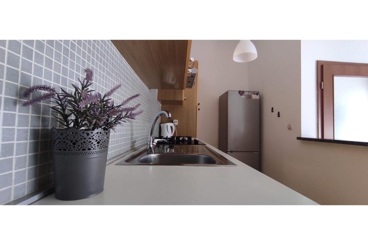 Apartment Flowers Bibinje Extérieur photo
